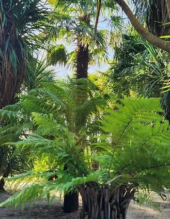 Domaine Du D-day ベッド・アンド・ブレックファスト