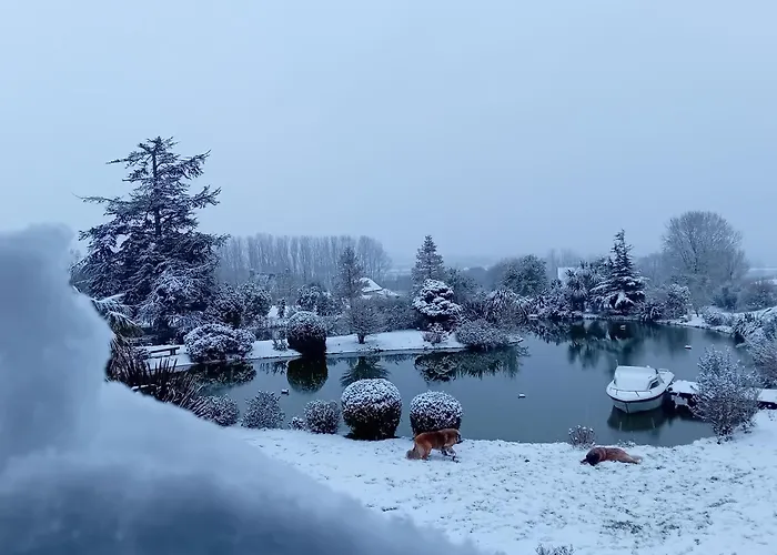 ベッド・アンド・ブレックファスト Domaine Du D-day Saint-Côme-du-Mont