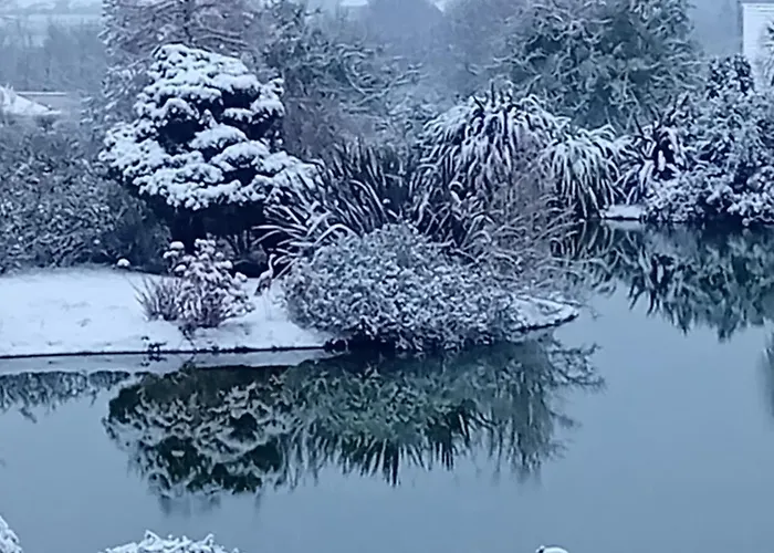 Domaine Du D-day ベッド・アンド・ブレックファスト Saint-Côme-du-Mont